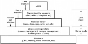 L1